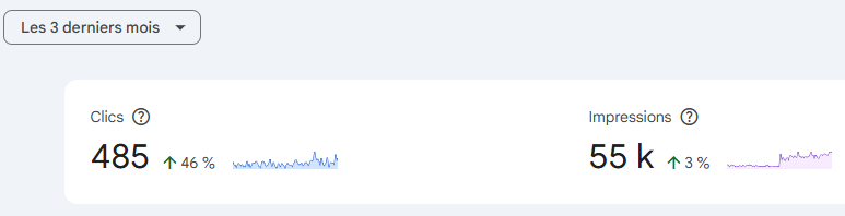 Résultats Google Search Console - Speed Inter
