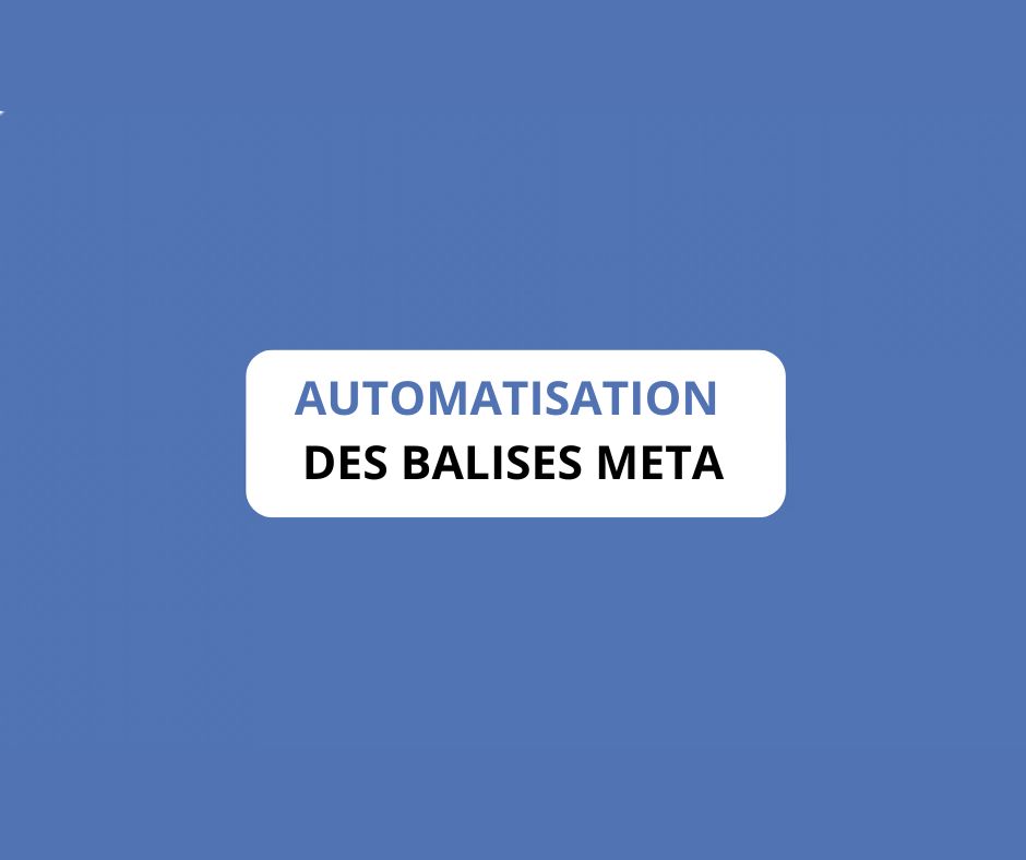 article automatisation des balises meta