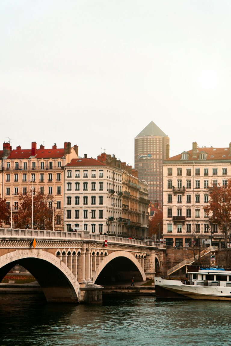 View of Lyon and the Basilica of Fourvière
