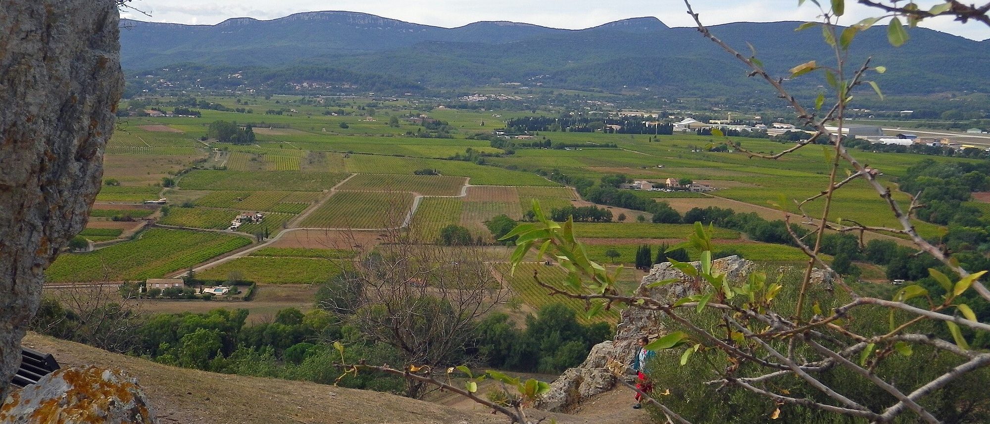 Le Var, les vignes des Côtes de Provence