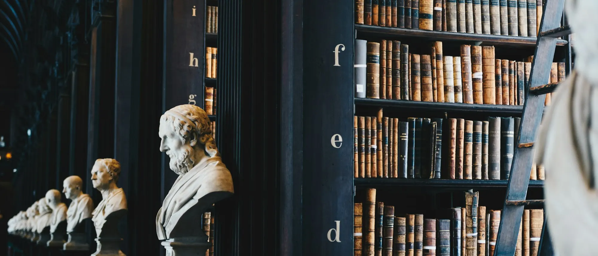 Rayonnages de livres anciens et bustes de marbre dans une bibliothèque de Dublin