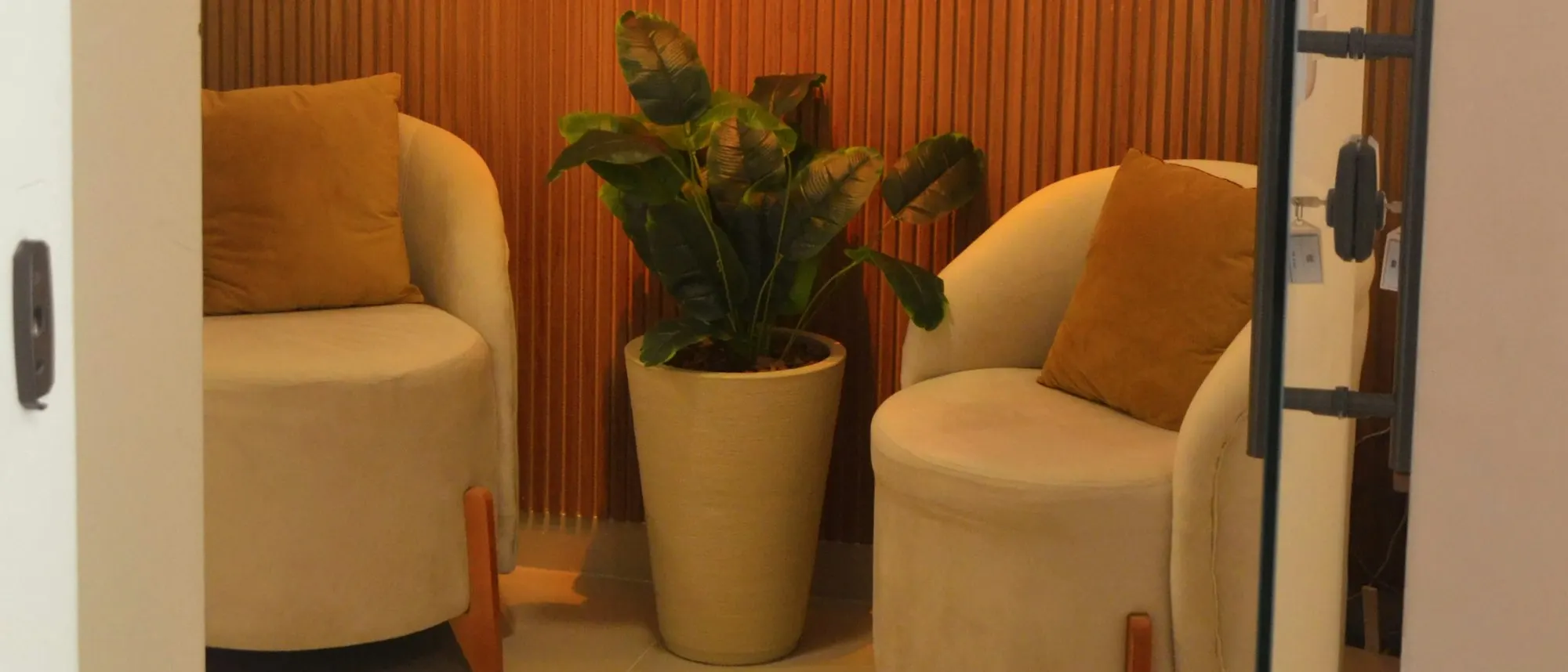 Deux fauteuils et une plante dans une salle d'attente calme